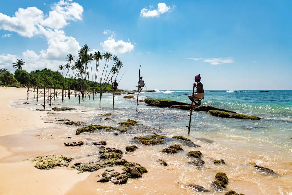 A stilt fisherman beside a palm-lined beach and shallow sea