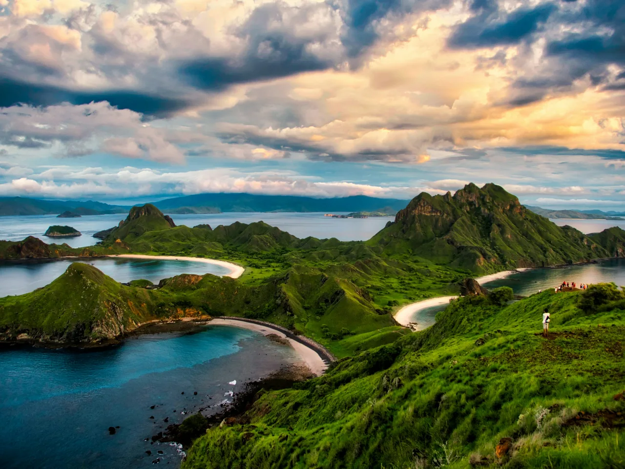 Green ridges and curved beaches in the Komodo archipelago