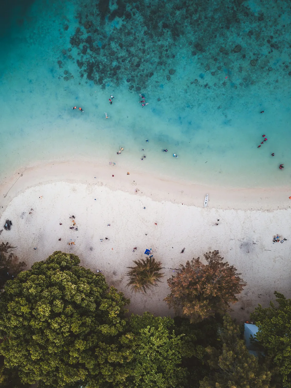 Clear turquoise sea meeting a white sand beach and tropical trees