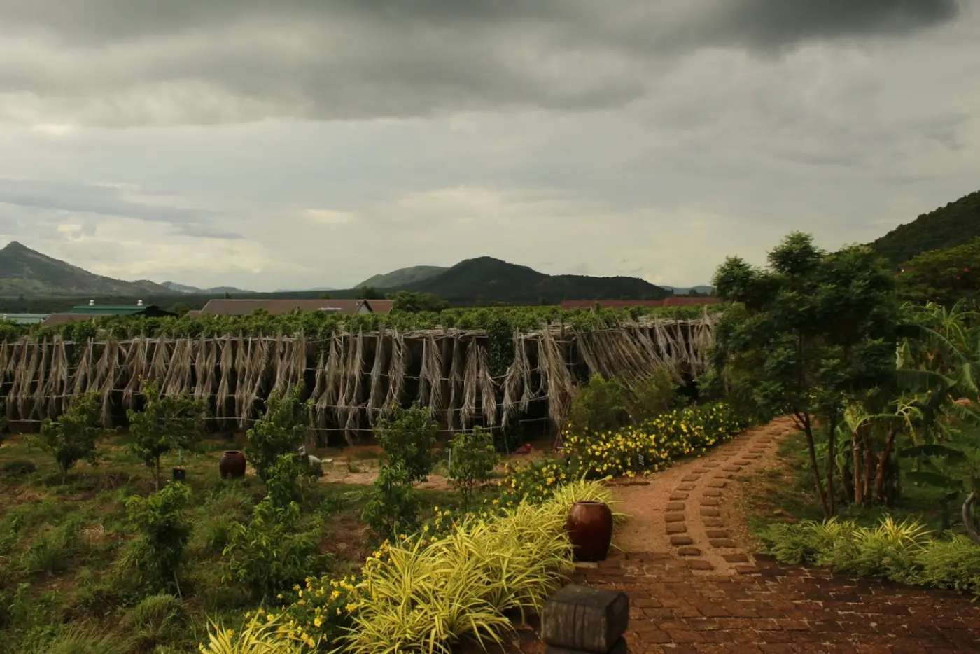 Cambodia: Kampot