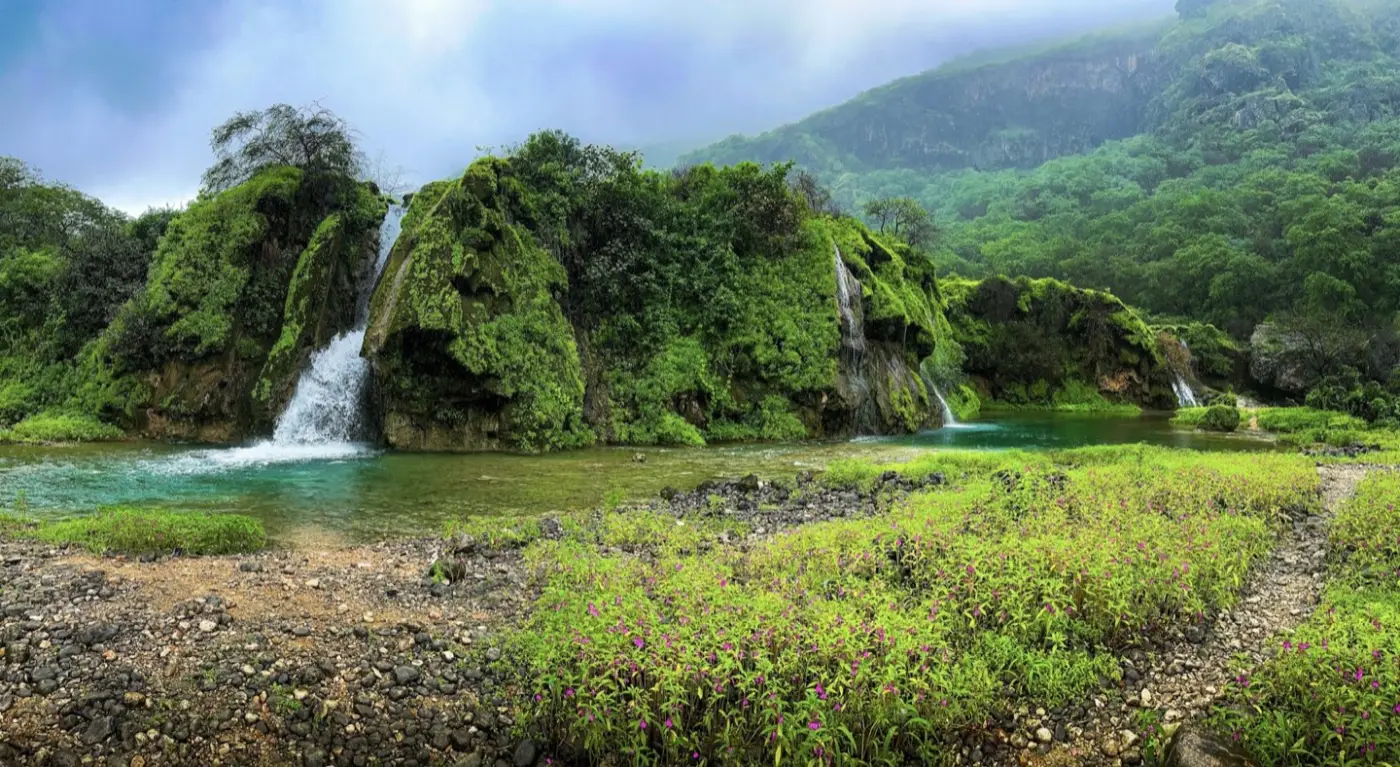 Oman: Salalah