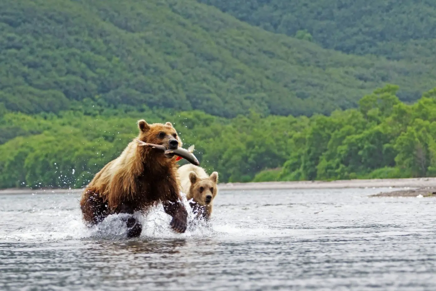 Russia: Kamchatka