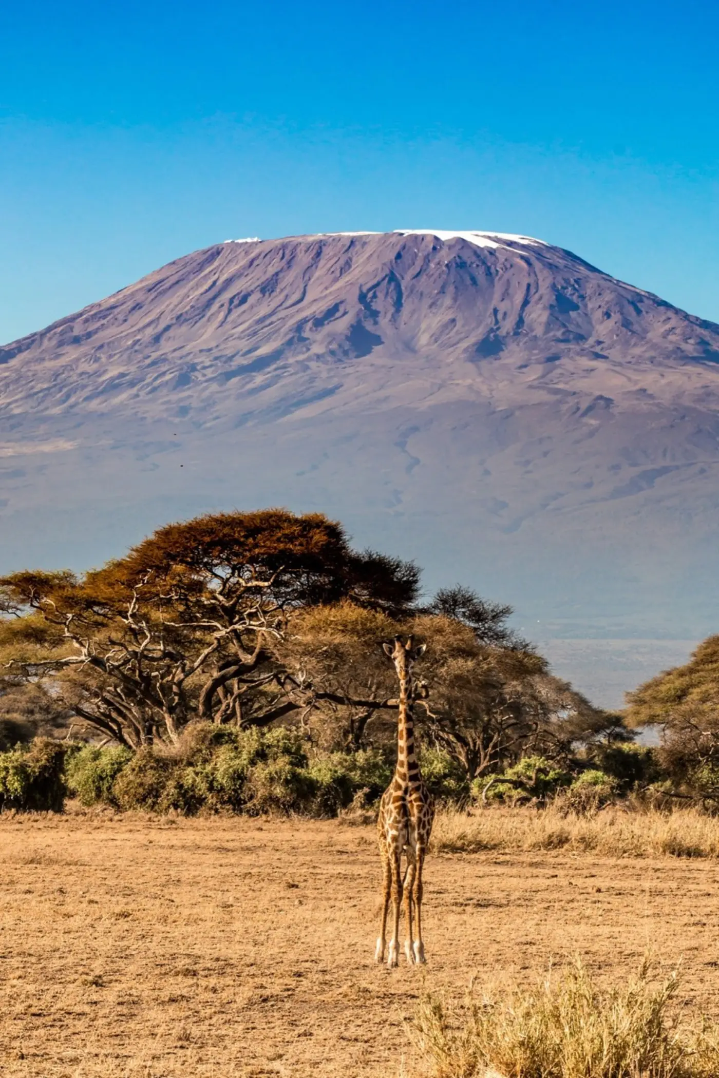 Tanzania: Kilimanjaro