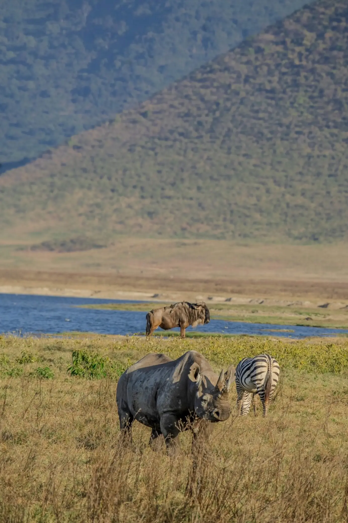 Tanzania: Ngorongoro